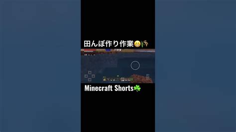 Minecraftshorts！minecraft田んぼ作り作業😁🌾マイクラshorts Youtube