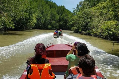 Can Gio Mangrove Forest And Monkey Island Day Tour Ho Chi Minh