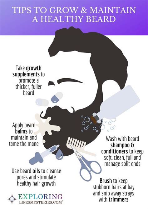 The Ultimate Beard Care Kit And Subscription Box Guide Beard Care Kit