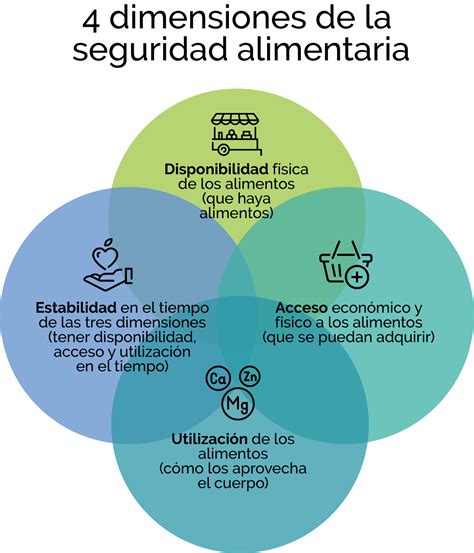 Conceptos Sobre Seguridad Unidos Distribuimos Y Transformamos IAP