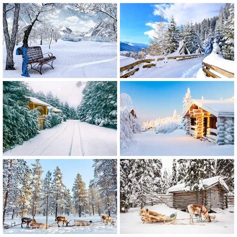 Fondos De Fotograf A De Invierno Nieve Bosque Rbol Camino A O Nuevo