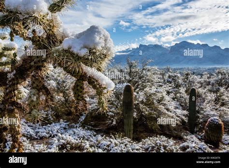 Tucson Winter Hi Res Stock Photography And Images Alamy