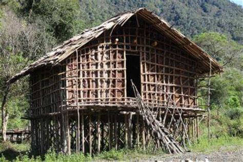 Rumah Adat Papua Barat Ini 4 Fakta Rumah Kaki Seribu Milik Suku Arfak