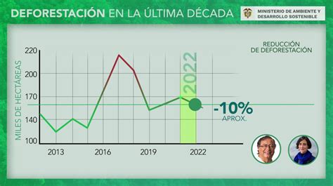 La deforestación en Colombia disminuyó en un 10 en el 2022