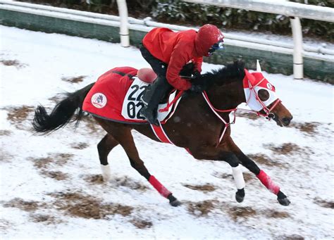 ラヴユーライヴ（22年1月撮影） ― スポニチ Sponichi Annex ギャンブル