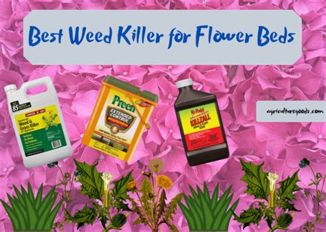 Best Weed Killer For Flower Beds Buying Guide