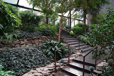 What is Indoor Landscaping? | Award-Winning NYC Landscapes