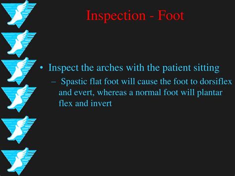 Ppt Foot And Ankle Powerpoint Presentation Free Download Id152679