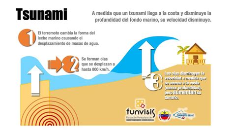 Funvisis on Twitter Dato Quieres conocer cómo se forma un tsunami