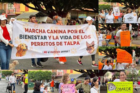 Marchan Pac Ficamente En Talpa De Allende En Favor De Los Perritos