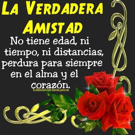 Frases de amistad para una miaga especial - IMÁGENES CON FRASES © LINDAS