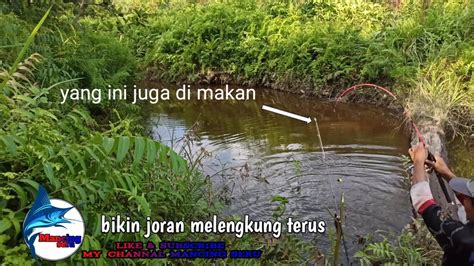 TEPAT MANCING PALING MANTAP BUAT NUNGGU BUKA PUASA ADEM NGAK PAKAI LAMA