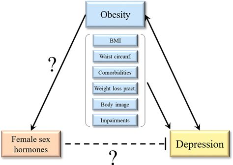 Obesity And Depression Have A Bidirectional Relationship Download