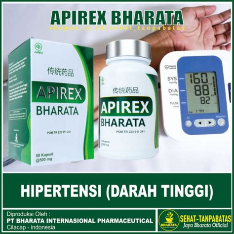 Jual Apirex Bharata Obat Hipertensi Darah Tinggi 100 Bergaransi