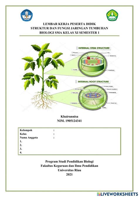 Lkpd Struktur Dan Fungsi Jaringan Tumbuhan Interactive Worksheet In