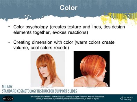 Chapter 14 Principles Of Hair Design Ppt Download