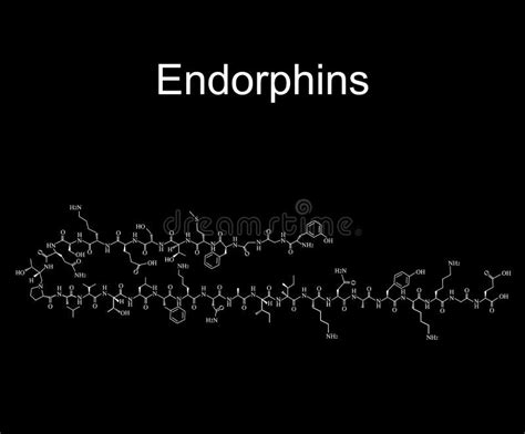 Hormona Endorfina F Rmula Qu Mica Molecular De Endorfinas De La