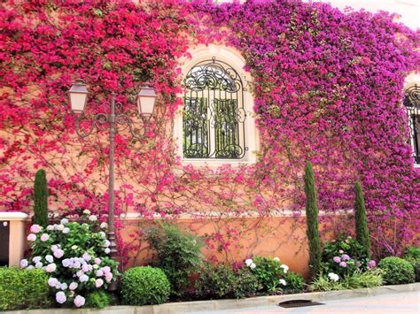 Flower Power Creative Ideas To Enhance Your Home S Curb Appeal With