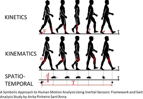 Engineering At Alberta Courses Gait Analysis