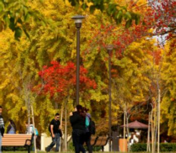 Majors & Programs | California State University Stanislaus