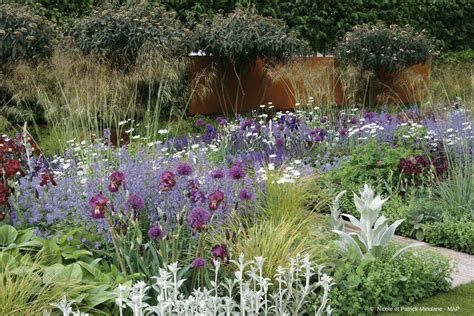 Comment Cr Er Un Beau Massif De Vivaces Avec Images Parterre De