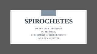 Spirochetes | PPT