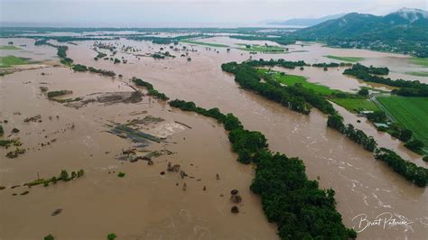 Cyclone brings floods, crocodile sightings in Australia’s northeast ...