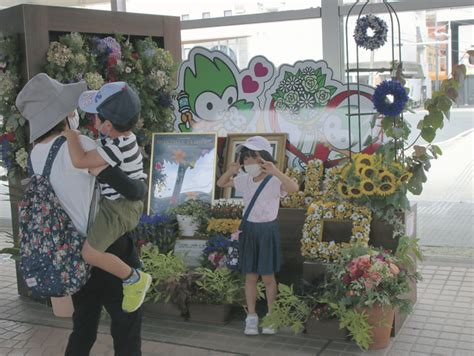 空港や駅、県産の花でお出迎え県花卉園芸推進協 山口新聞 電子版