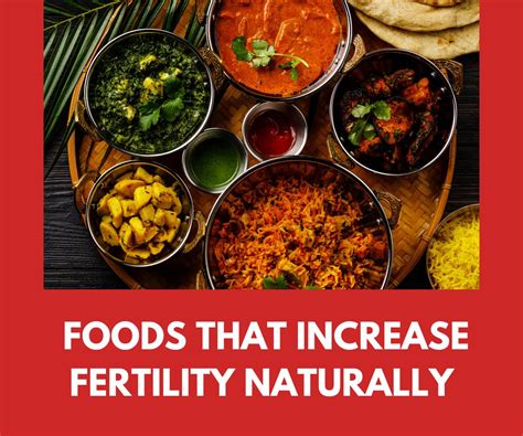 Are There Specific Foods That Increase Fertility Find Out The Top 10