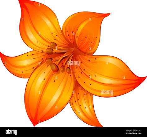 Fleurs De Lis Orange Banque Dimages Vectorielles Alamy