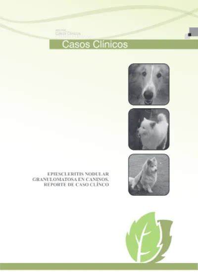 Epiescleritis Nodular Granulomatosa en Caninos Reporte de Caso Clínico