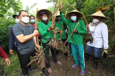 Serap Tenaga Kerja MBR Pemkot Surabaya Manfaatkan Lahan BTKD Tambak