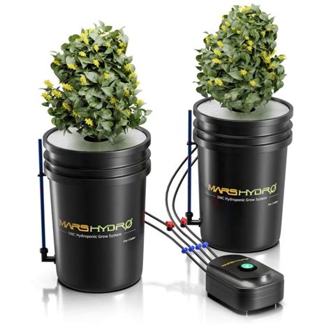 Black Friday DWC Hydroponic System Kit With 2 Buckets Mars Hydro