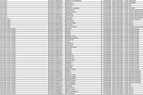 Daftar Nama Nama Honorer Di Lampung Yang Diangkat Asn Pppk Tanpa