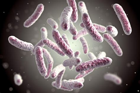 CDC Issues Warning Over Drug Resistant Strain Of Shigella Bacteria IHeart