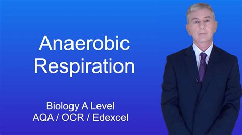 A Level Biology Revision Anaerobic Respiration Youtube