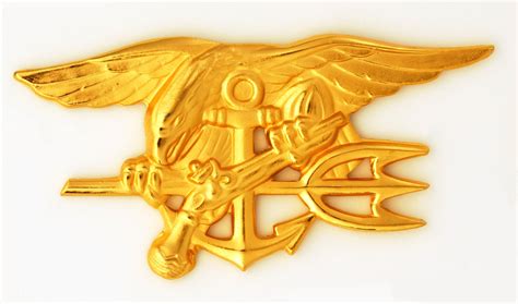 Are You Cut Out For Navy Seal Training Sofrep