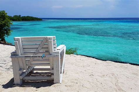 Aruba Snorkeling Guide - 11 Best Spots With Rich Sea Life