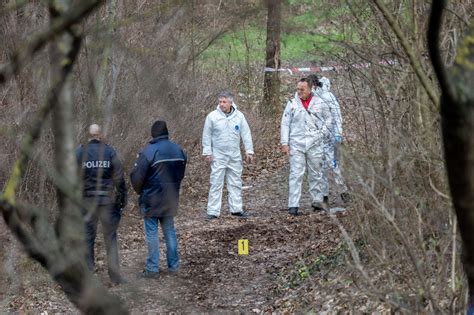 Mord in Wiener Neustadt Verdächtiger laut Gutachten 19 Jahre alt NÖN at