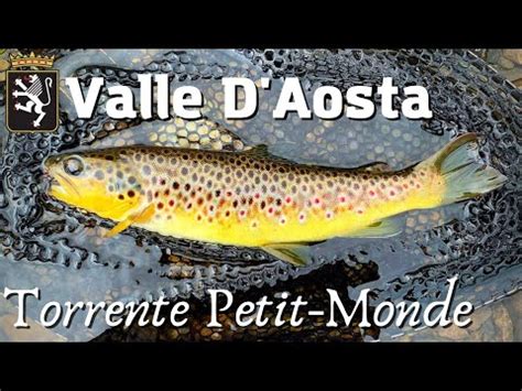 Pescare Trote Fario Stupende In Valle D Aosta Valle D Aosta