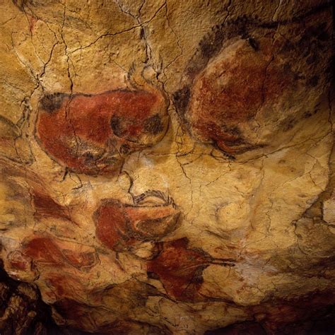 Los Visitantes De Altamira Impresionados Por El Color De Las Pinturas