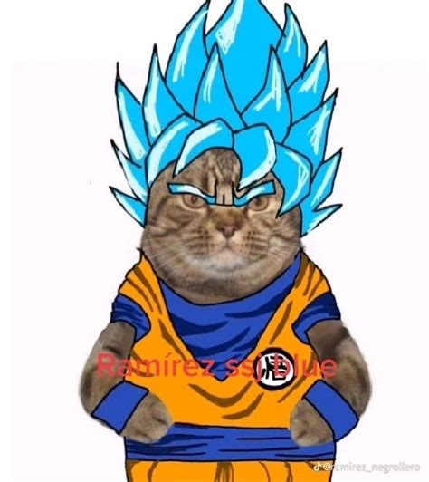 Super Ramírez fase diosito azul Mascotas bonitas Goku y vegeta