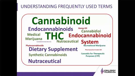 Cannabidiol And Epilepsy An Fda Approved Therapy Youtube