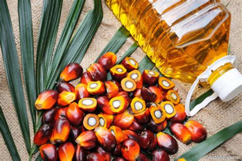 Rm80m Allocated To Palm Oil Industry To Enhance Sustainability Counter