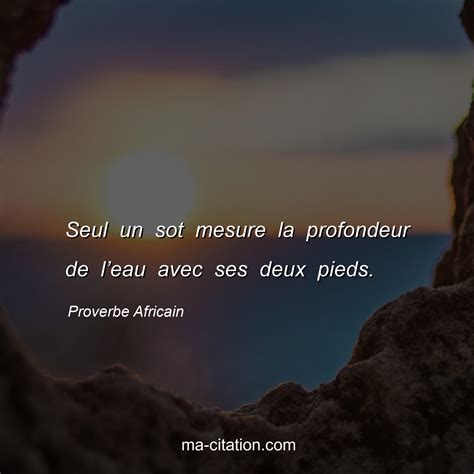 Seul Un Sot Mesure La Profondeur De Leau Avec Ses Deux Pieds Proverbe