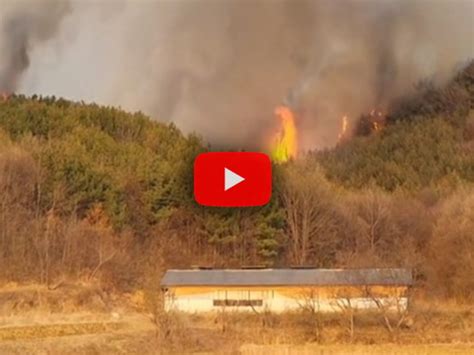 Meteo Cronaca Diretta Video Corea Del Sud Incendi Boschivi Bruciano