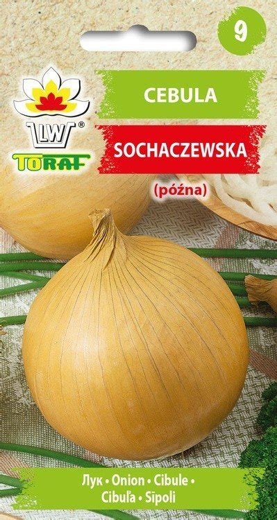 Cebula Sochaczewska P Na Allium Cepa L Toraf Sklep Empik