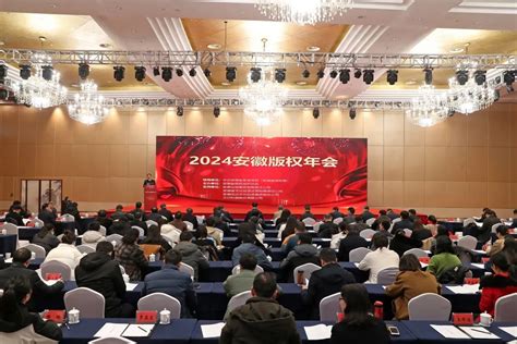 2024安徽版权年会成功举办