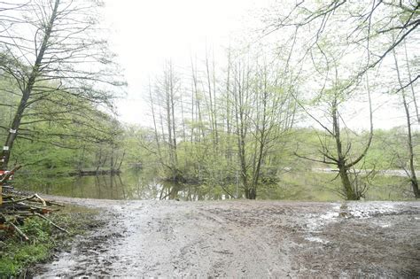 Aufregung wegen Rodung 100 Bäume in Geislautern gefällt