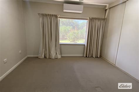 Balfour Street Culcairn Nsw House For Rent Domain